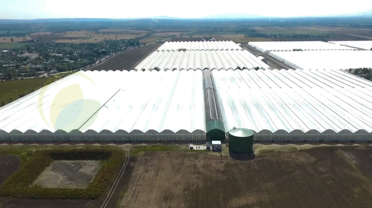 Qué sistemas mejoran la eficiencia de los invernaderos|Mx_Z19_Aerea10-PORTADA-800x600